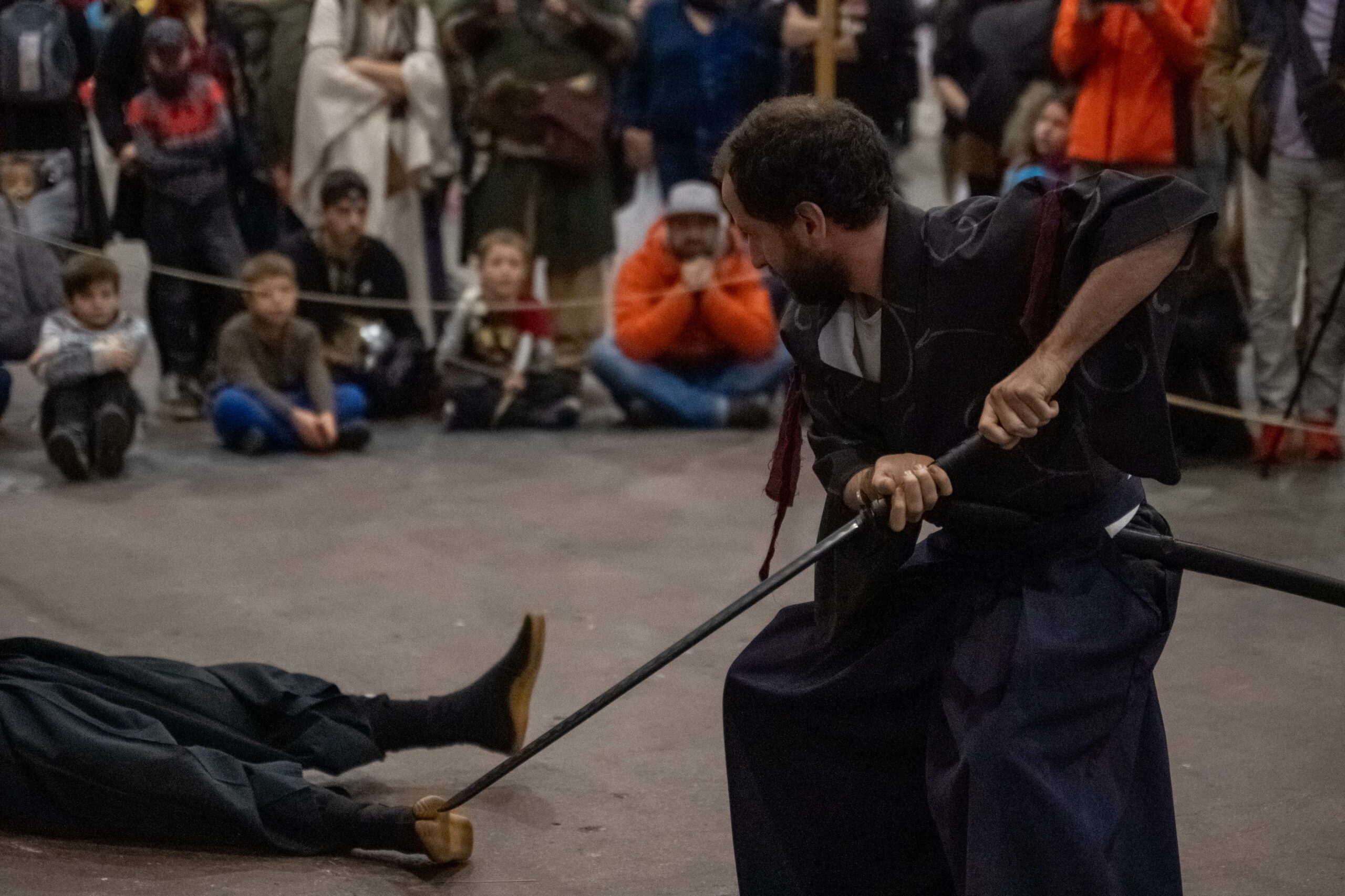 Art et Budo